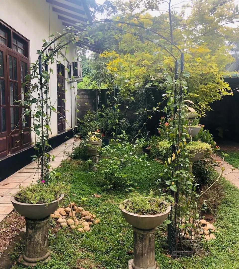 Villa De Wick'S Kimbulapitiya 0*,